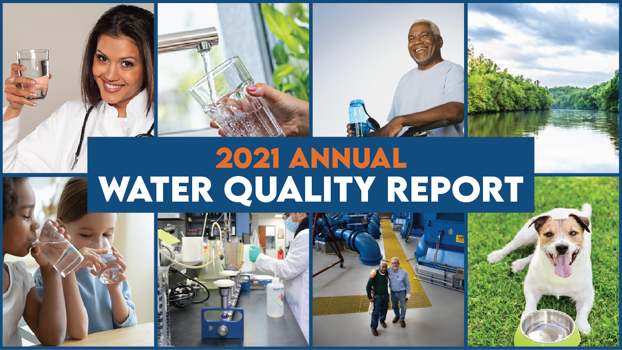 Fulton County Web Graphic featuring a collage of photos including people and pets drinking water, a lake, and running tap water. There is the bold text 2021 Annual Water Quality Report" centered in front of the  collaged images 