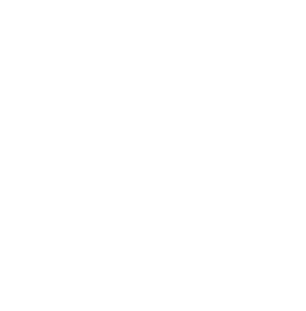 white logo for the city of Palmetto