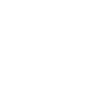 white icon representing budget