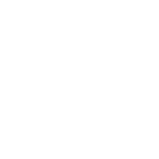 white icon representing floodplains