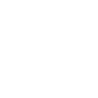 white icon representing 911
