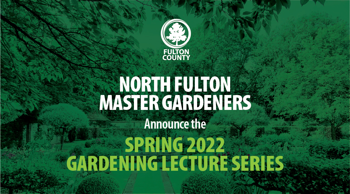 green trees in backyard 