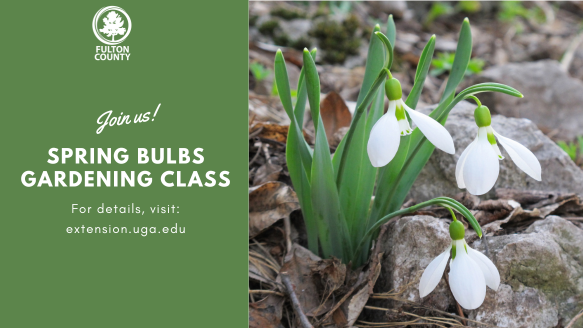 Fall 2024 Gardening Workshop Series